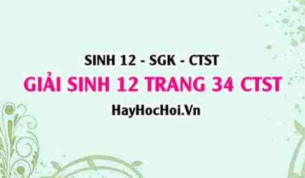 Giải Sinh 12 trang 34 Chân trời sáng tạo SGK